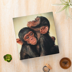 Cutest Baby Animals   Chimpanzee Hug Binder