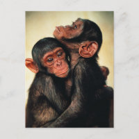 Cutest Baby Animals | Chimpanzee Hug
