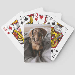 Cutest Baby Animals Chocolate Dapple Dachshund Playing Cards