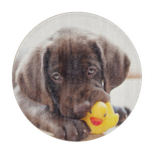 Cutest Baby Animals   Chocolate Labrador Puppy Cutting Board