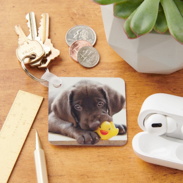 Cutest Baby Animals | Chocolate Labrador Puppy Keychain (Desk)