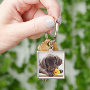 Cutest Baby Animals   Chocolate Labrador Puppy Keychain