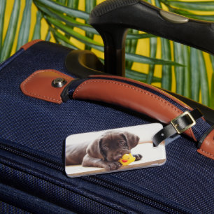 Cutest Baby Animals   Chocolate Labrador Puppy Luggage Tag