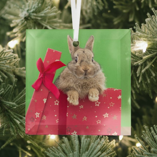 Cutest Baby Animals | Christmas Holiday Bunny Glass Ornament (Insitu)
