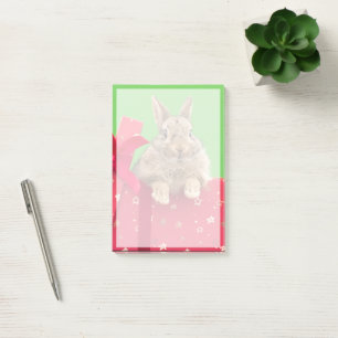 Cutest Baby Animals Christmas Holiday Bunny Post-it Notes