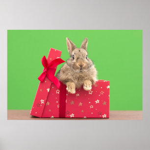 Cutest Baby Animals Christmas Holiday Bunny Poster