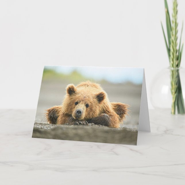 Cutest Baby Animals | Coastal Brown Bear Cub Card (Front)