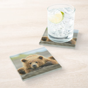 Cutest Baby Animals   Coastal Brown Bear Cub Glass Coaster