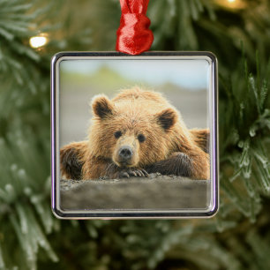 Cutest Baby Animals   Coastal Brown Bear Cub Metal Ornament