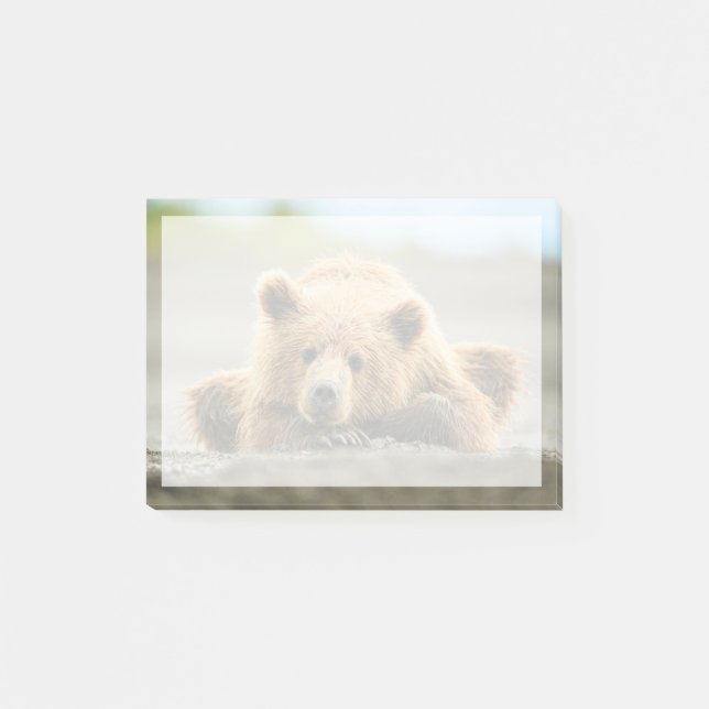 Cutest Baby Animals | Coastal Brown Bear Cub Post-it Notes (Front)