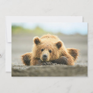 Cutest Baby Animals Coastal Brown Bear Cub Thank You Card