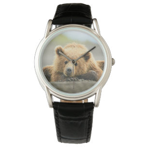 Cutest Baby Animals   Coastal Brown Bear Cub Watch