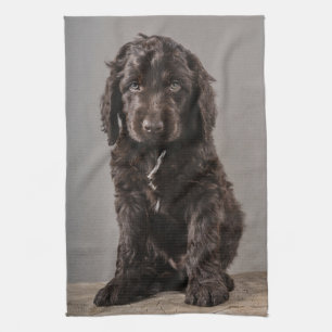 Cutest Baby Animals   Cockapoo Puppy Kitchen Towel