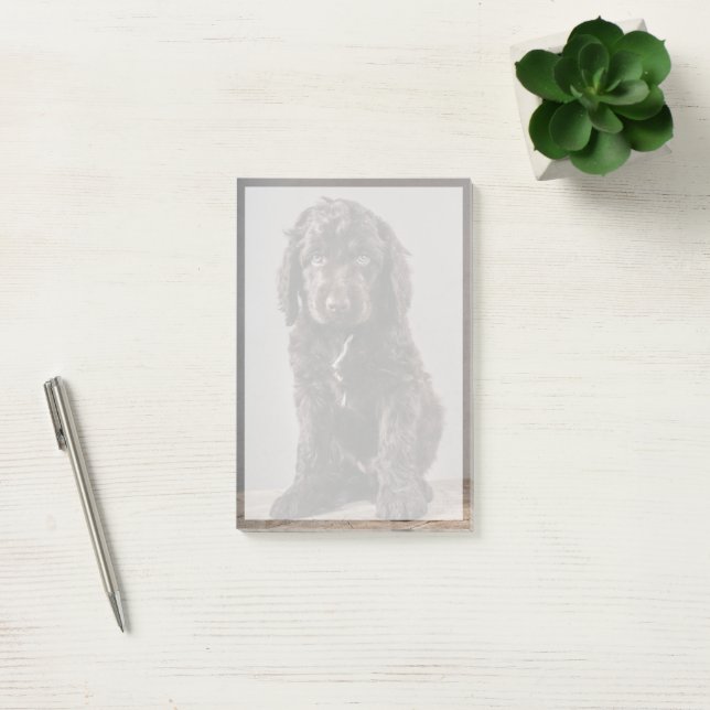 Cutest Baby Animals | Cockapoo Puppy Post-it Notes (Office)