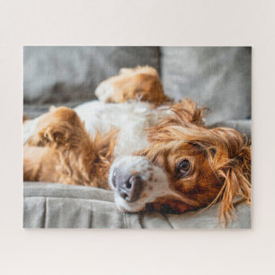 Cutest Baby Animals   Cocker Spaniel Jigsaw Puzzle