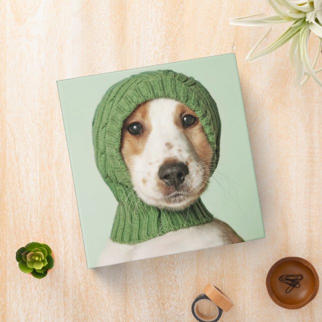 Cutest Baby Animals | Cocker Spaniel Puppy Binder (In Situ)