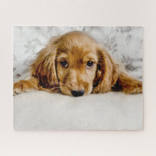 Cutest Baby Animals   Cocker Spaniel Puppy Jigsaw Puzzle