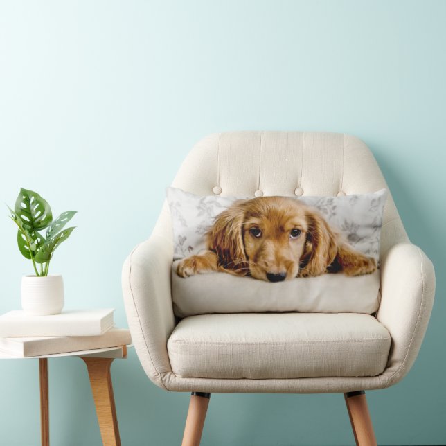 Cutest Baby Animals | Cocker Spaniel Puppy Lumbar Pillow (Chair)