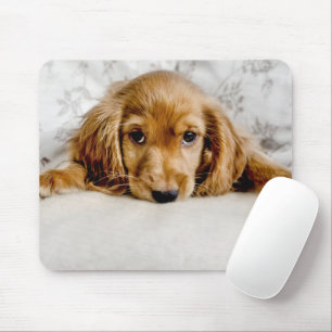 Cutest Baby Animals   Cocker Spaniel Puppy Mouse Pad