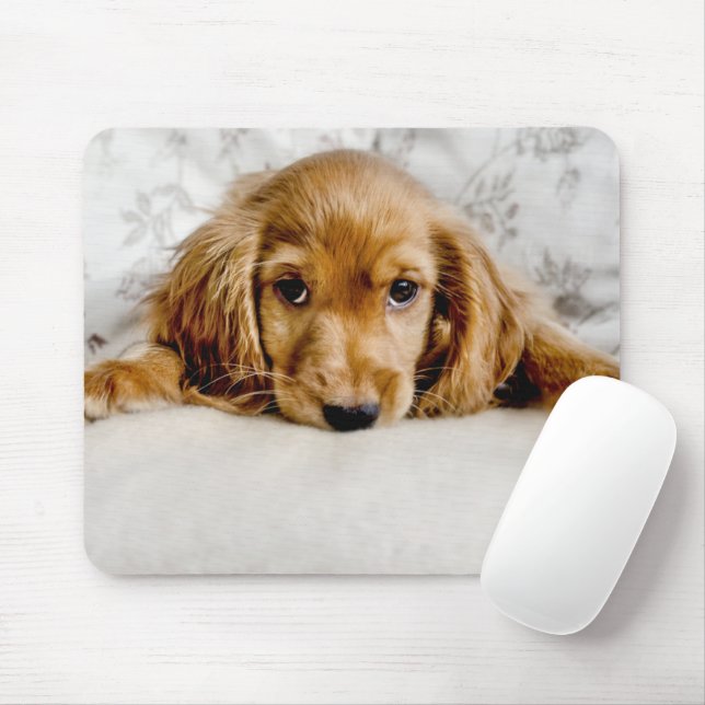 Cutest Baby Animals | Cocker Spaniel Puppy Mouse Pad (With Mouse)
