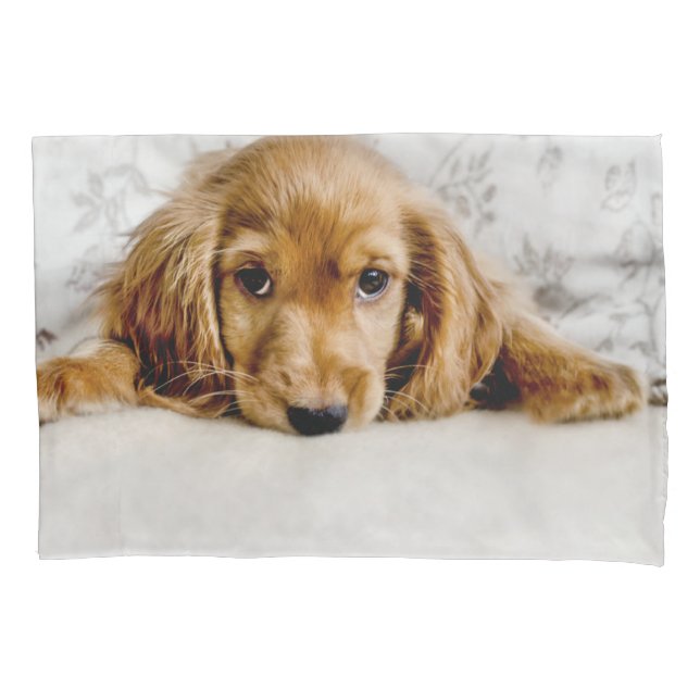 Cutest Baby Animals | Cocker Spaniel Puppy Pillowcase (Front)