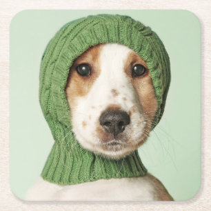 Cutest Baby Animals Cocker Spaniel Puppy Square Paper Coaster