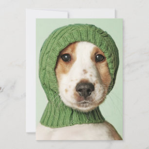 Cutest Baby Animals   Cocker Spaniel Puppy Thank You Card