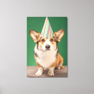 Cutest Baby Animals   Corgi Birthday Puppy Canvas Print