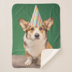 Cutest Baby Animals   Corgi Birthday Puppy Sherpa Blanket