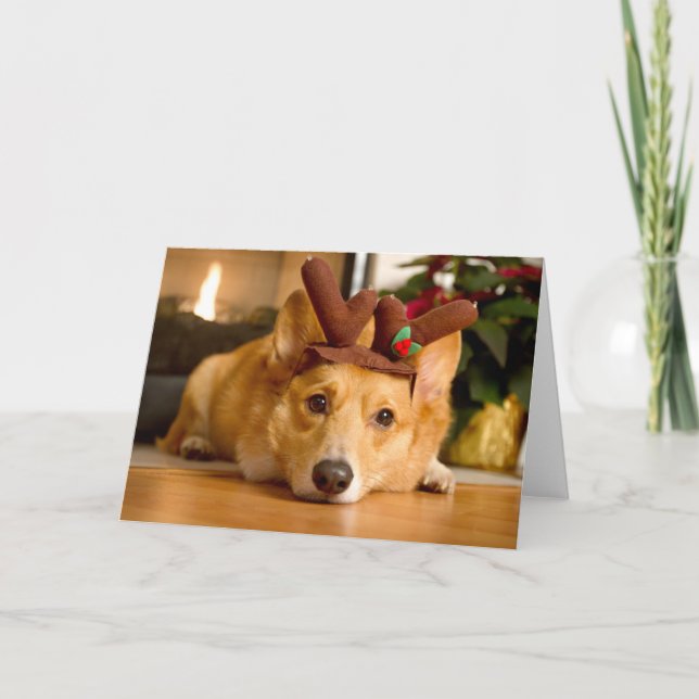 Cutest Baby Animals | Corgi Christmas Reindeer Card (Front)
