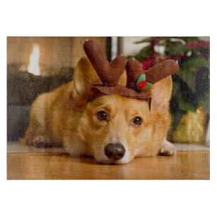 Cutest Baby Animals   Corgi Christmas Reindeer Cutting Board