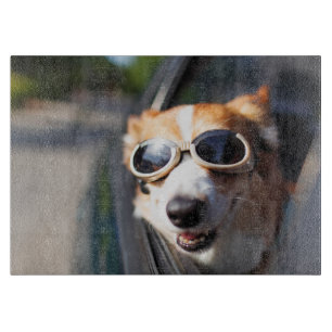 Cutest Baby Animals   Corgi Goggles in the Car Cutting Board