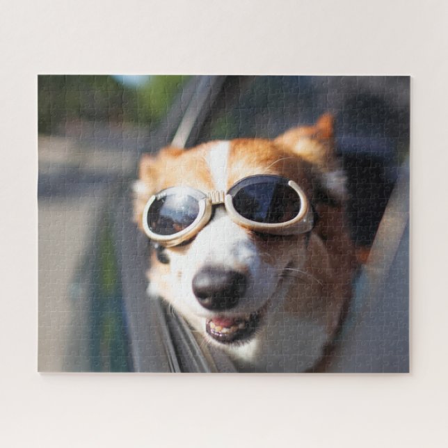 Cutest Baby Animals | Corgi Goggles in the Car Jigsaw Puzzle (Horizontal)