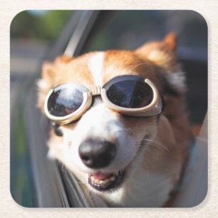 Cutest Baby Animals Corgi Goggles in the Car Square Paper Coaster