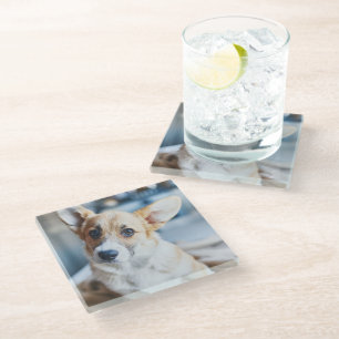 Cutest Baby Animals Corgi Head Tilt Glass Coaster
