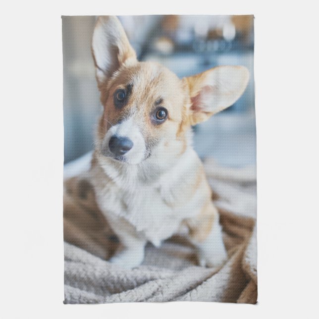 Cutest Baby Animals | Corgi Head Tilt Kitchen Towel (Vertical)