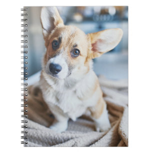 Cutest Baby Animals   Corgi Head Tilt Notebook