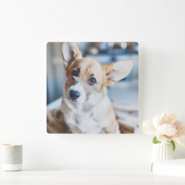 Cutest Baby Animals | Corgi Head Tilt Square Wall Clock (Home)