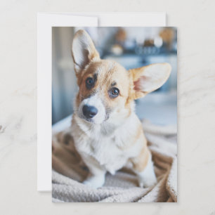 Cutest Baby Animals Corgi Head Tilt Thank You Card