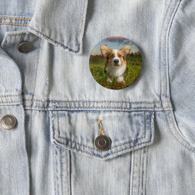 Cutest Baby Animals | Corgi in Cloudy Yard 2 Inch Round Button (In Situ)