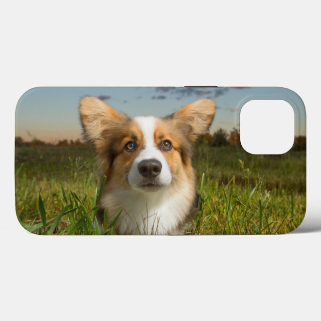 Cutest Baby Animals | Corgi in Cloudy Yard Case-Mate iPhone Case (Back (Horizontal))
