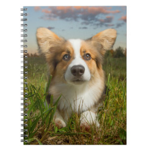 Cutest Baby Animals   Corgi in Cloudy Yard Notebook