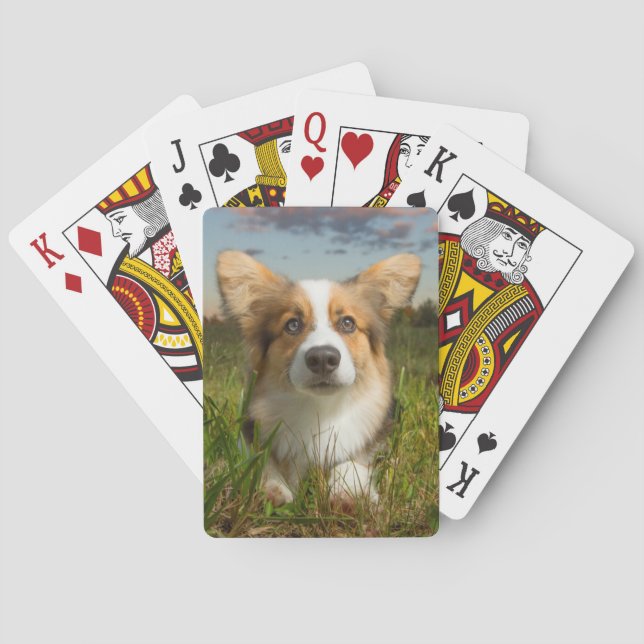 Cutest Baby Animals | Corgi in Cloudy Yard Playing Cards (Back)