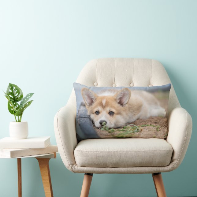 Cutest Baby Animals | Corgi Laying in the Yard Lumbar Pillow (Chair)