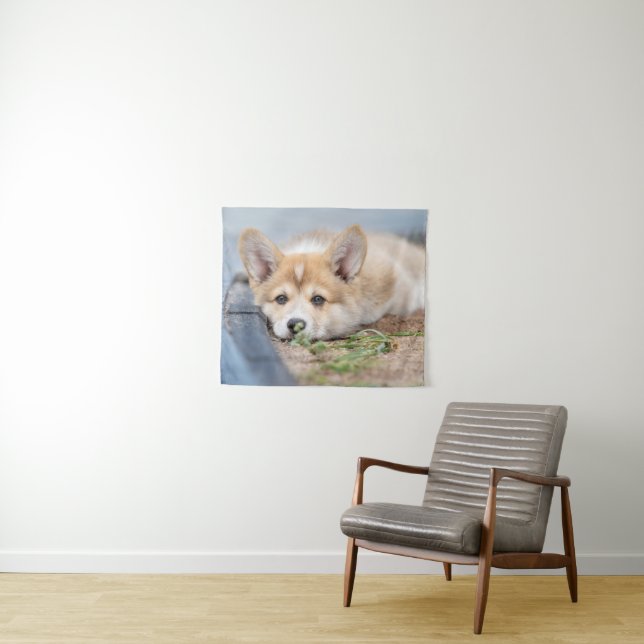 Cutest Baby Animals | Corgi Laying in the Yard Tapestry (In Situ (Horizontal))