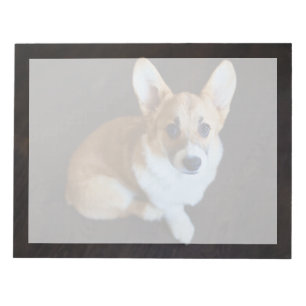Cutest Baby Animals   Corgi Looking Up Notepad