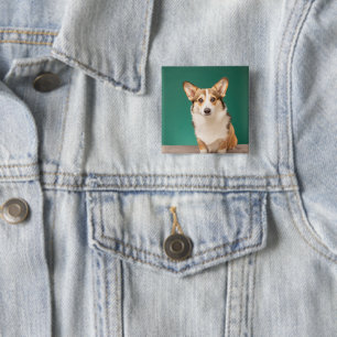Cutest Baby Animals   Corgi on Teal 2 Inch Square Button