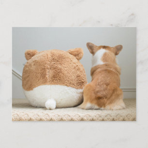 Cutest Baby Animals   Corgi & Plush Puppy Postcard