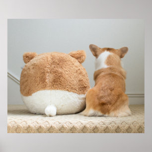 Cutest Baby Animals Corgi & Plush Puppy Poster