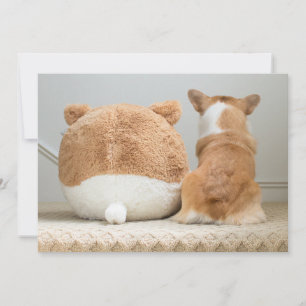 Cutest Baby Animals   Corgi & Plush Puppy Thank You Card